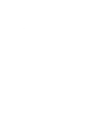 Made in alambique